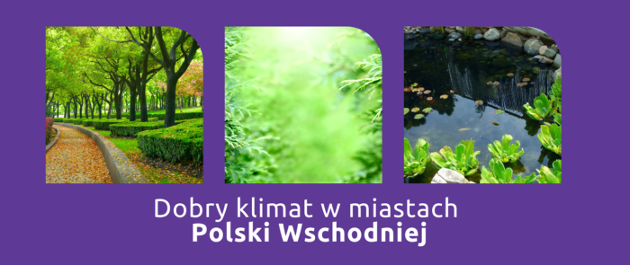 Zielone i bez betonu. Fundusze unijne dla miast Polski Wschodniej  