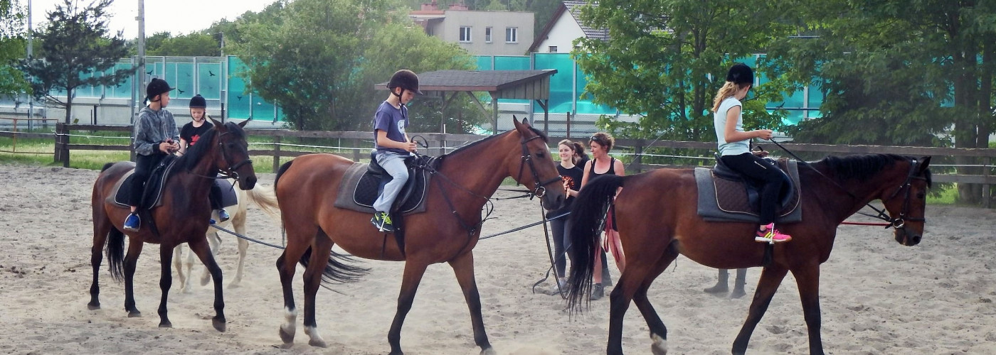 Nauka jazdy konnej prowadzona w ramach projektu